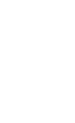 Fair & Festival Clients